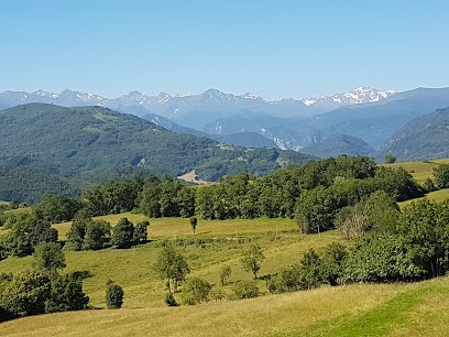 Arborigène - Elagage délicat, Elagueur à Soula