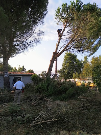 One to trees, Elagueur à Septfonds