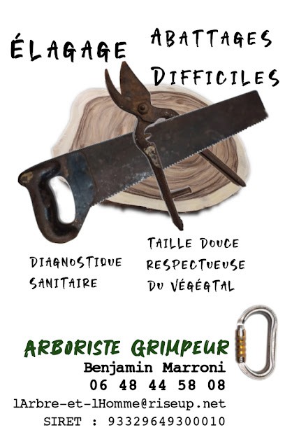 l'Arbre & l'Homme, Elagueur à Najac
