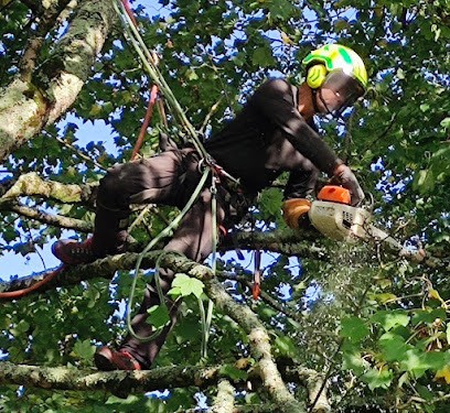 Delaunay Elagage, Elagueur à Ploemeur