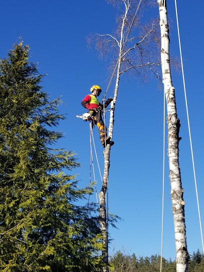 RBA ELAGAGE, Elagueur au Monastier-sur-Gazeille