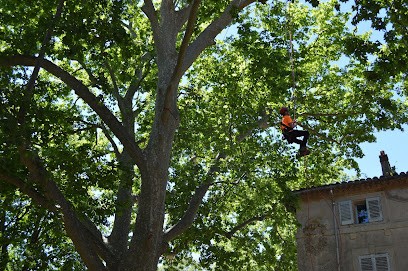 ArboristiK SAS, Elagueur à Thonon-les-Bains