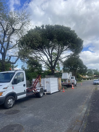 Élagage Moreau Et Fils à Petit Prix: Élagueur Abattage D'arbres - Entretien Espaces Verts Taille De Haies Débroussaillage 38, Elagueur à Léognan