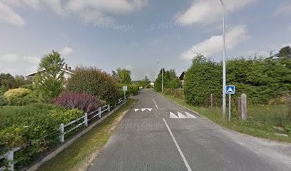 Celle André, élagage & Paysagiste, Elagueur à Sainte-Sigolène