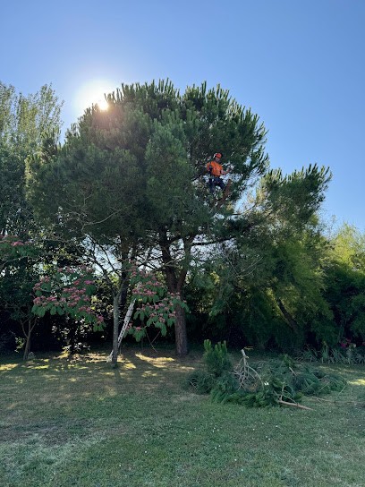 BF élagage 28 - Élagueur Chartres | Taille Abattage D'Arbres Haies Entretien Espaces Verts Eure-et-Loir Sours, Elagueur à Sours
