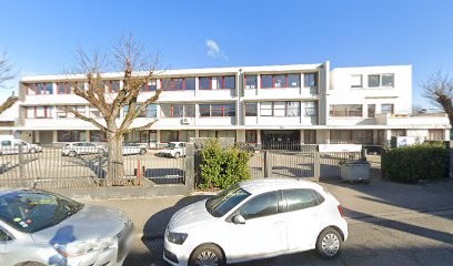 Xavier Dedinger Élagueur à Lyon Villeurbanne 69, Elagueur à Villeurbanne