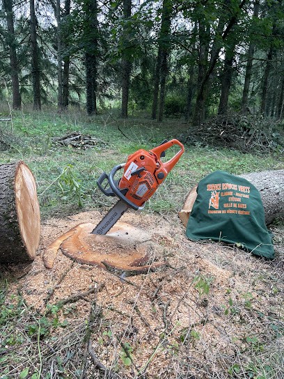 Élagage Yd 41- Espace Vert : Paysagiste Elagage Abattage D'Arbre Loire Et Cher Blois Salbris Romorantin, Elagueur à Millançay