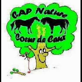 CAP Nature Coeur De Caux, Elagueur à Terres-de-Caux
