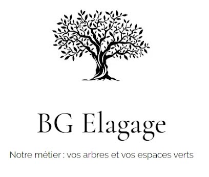 Gino Bauer, Elagueur à Nevers