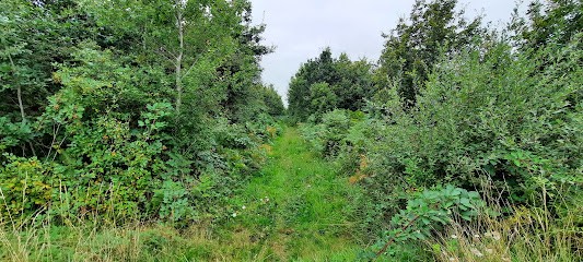 Office National Des Forêts (O.N.F.), Elagueur à Vouillé