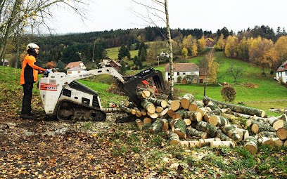 Mathieu Elagage, Elagueur à Maisonsgoutte