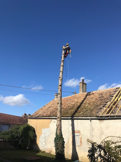 Recurt Elagage, Elagueur à Saint-Sauveur-lès-Bray