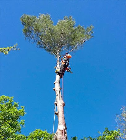 Destrich Elagueur 38, Elagueur à Sassenage