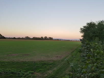 Maison Forestière Domaniale de Wolfgantzen (ONF), Elagueur à Wolfgantzen
