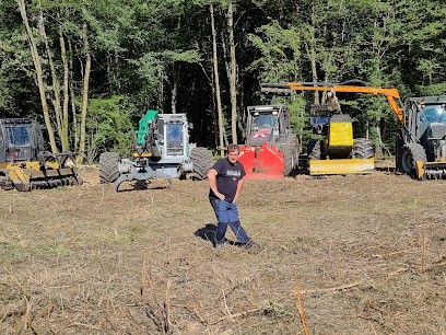 Arbo Environnement, Elagueur à Saint-Germain-du-Bois