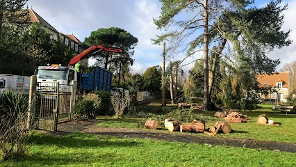 SP Service Artisan Elagueur 91 Entretien, Parcs Et Jardins Paysagiste Arboriste Essonne Jeremy Surest, Elagueur à Marcoussis
