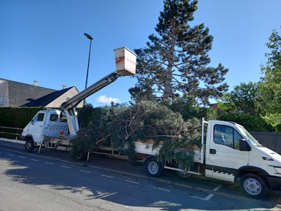 Couvreur Sagy, Elagueur à Sagy