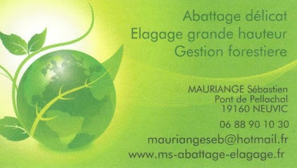 Mauriange Sebastien, Elagueur à Neuvic