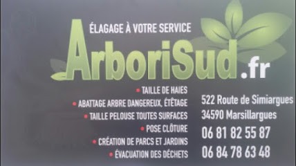 Arborisud34-abatage -taille Haie, Elagueur à Marsillargues