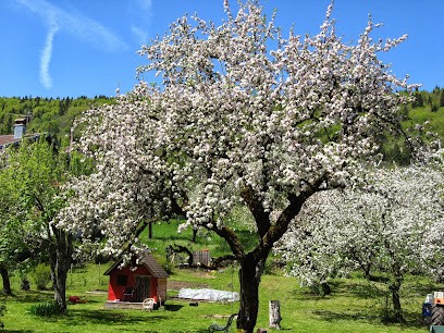 Arborescence, Elagueur à Avignon-lès-Saint-Claude