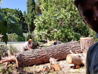 ENTREPRISE ÉLAGAGE 30 élagueur Abattage D'arbres Taille De Haies Entretien Jardin Gard Nîmes Milhaud Caissargues Marguerittes, Elagueur à Saint-Laurent-d'Aigouze