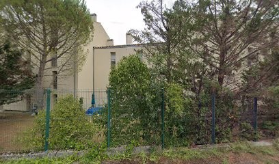 Ort Jarryidrici, Elagueur à Lodève