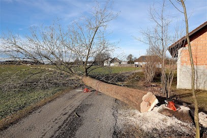 Élagage abattage d'arbres taille de haie Pau ad père et fils, Elagueur à Pau