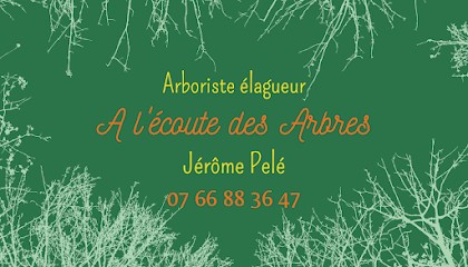 A L'écoute Des Arbres - Arboriste élagueur, Elagueur à Moëlan-sur-Mer