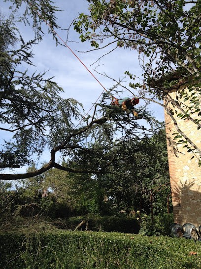 Arborizon, Elagueur à Larrazet