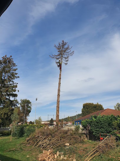 Symbiose Élagage - Haute Loire, Elagueur à Saint-Étienne-Lardeyrol
