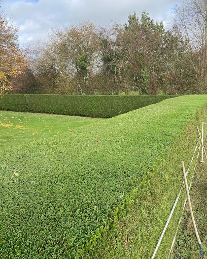 Louv'Arbor, Elagueur à Louvignies-Quesnoy