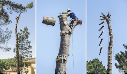 Heugebaert Élagage, Elagueur à Limetz-Villez