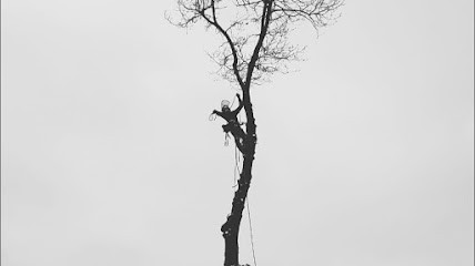 Franglais soins des arbres, Elagueur à Liffré