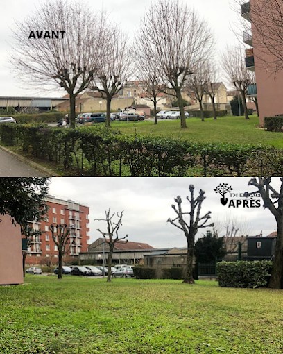 Espaces Verts- Services D'élagage - TM Elagage, Elagueur à Palaiseau