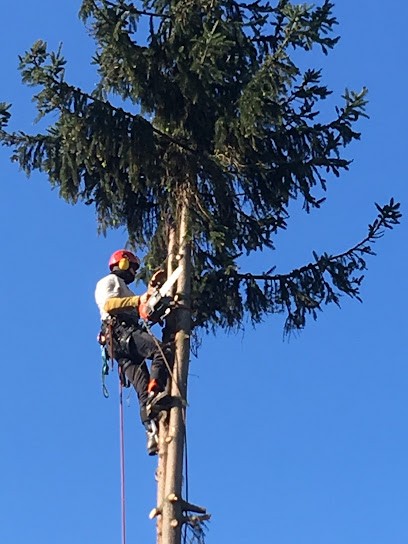 Sam Taille Samuel Rogeau, Elagueur à Marcq-en-Baroeul