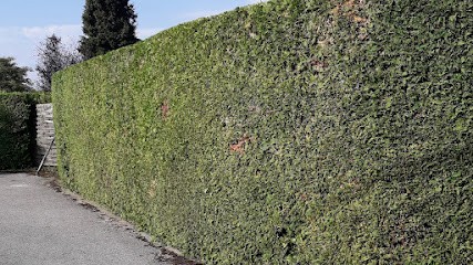 Lefebvre élagages, Elagueur à Saint-Ciers-d'Abzac