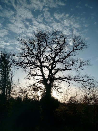  Il était Un Arbre..., Elagueur à Saint-Martial