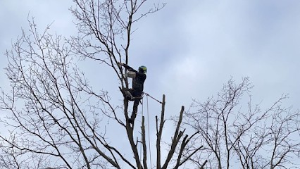 Entretien Espace Vert - Élagage Reinhard - Vitry-sur-Seine, Elagueur à Vitry-sur-Seine