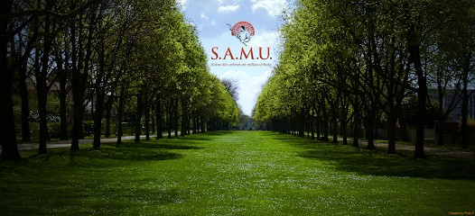 S.A.M.U Soins des Arbres en Milieu Urbain, Elagueur à Versailles