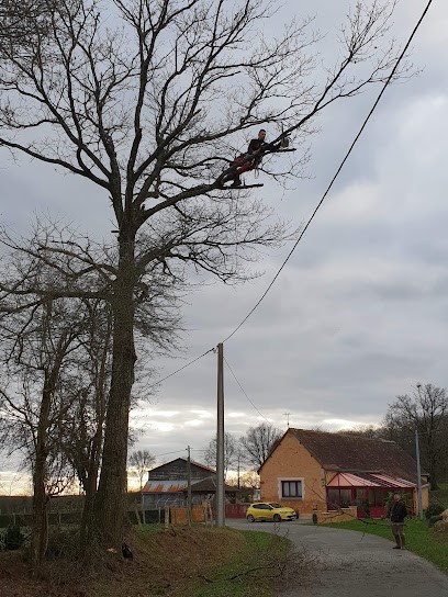 A l'écoute de l'arbre, Elagueur à Tennie