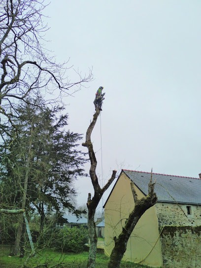 Élagage, Abattage - Elag'Paysage, Elagueur à Mauges-sur-Loire
