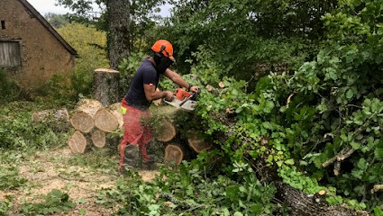 YD Services élagage/parc&jardin, Elagueur à Sarlat-la-Canéda