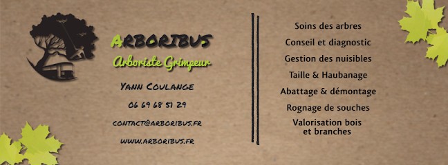 Arboribus - Yann Coulange - Arboriste grimpeur, Elagueur à Saint-Gilles-de-la-Neuville