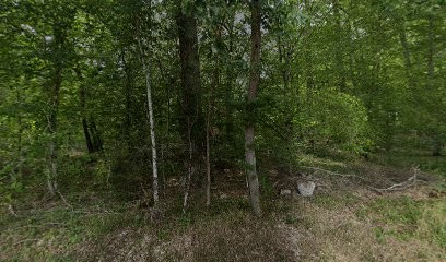 Office National Des Forêts, Elagueur à Audes