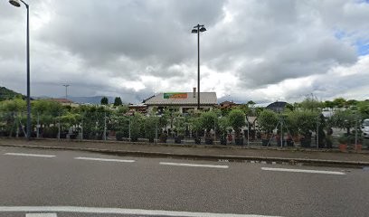 La Brunerie Et Les Eymins, Elagueur à Voiron