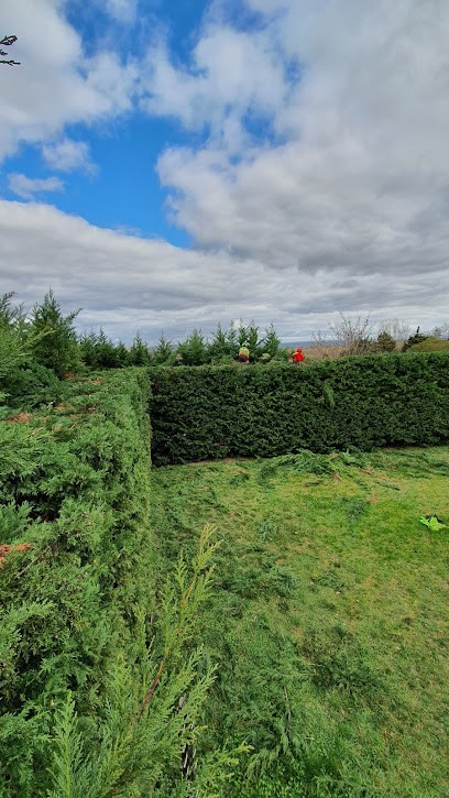 Saison élagage, Elagueur à Saint-Jean