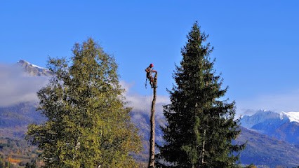 ENVIE D'ARBRES Aurélien Dhomont, Elagueur à Saint-Bonnet-en-Champsaur