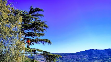 Ariège Élagage, Elagueur à Verniolle