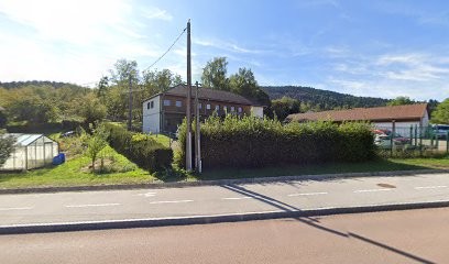 Office National Forêts, Elagueur à Remiremont