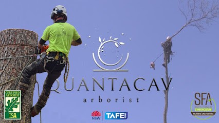 QuantaCaV, Elagueur à Manosque